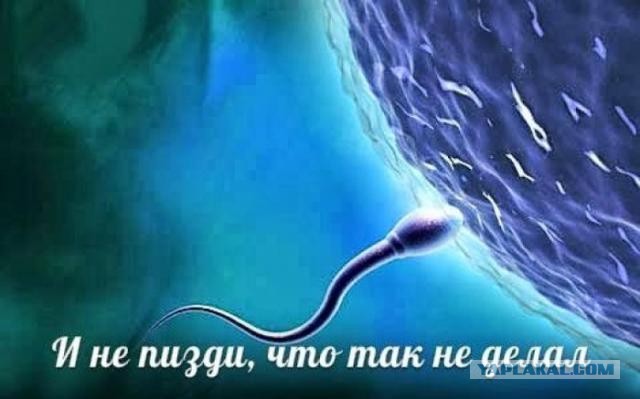 Было скучно, делать было нечего
