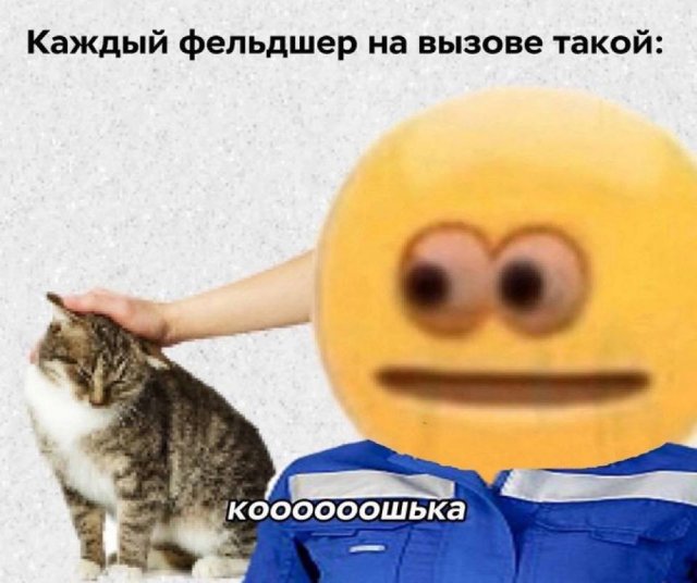 Так себе картинки 15.10.24