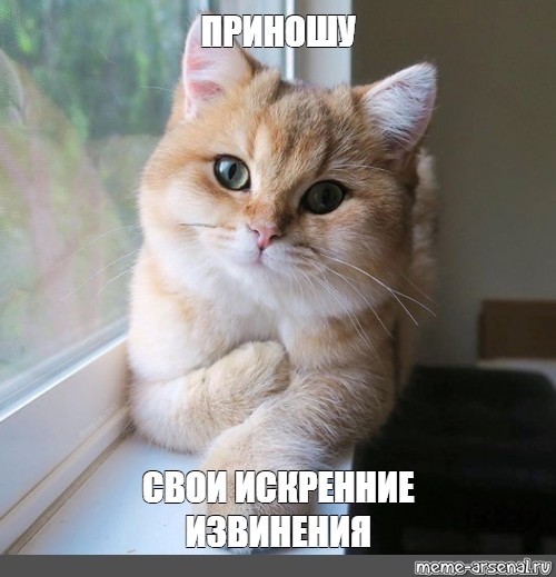 Конечно коту я доверяю