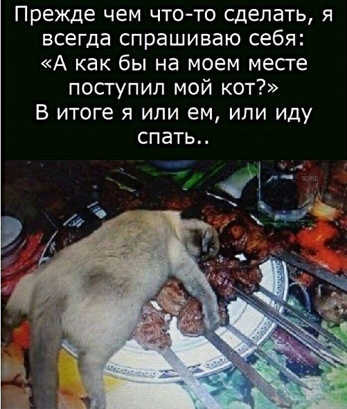 Прикольные и просто красивые картинки 01.11.2024