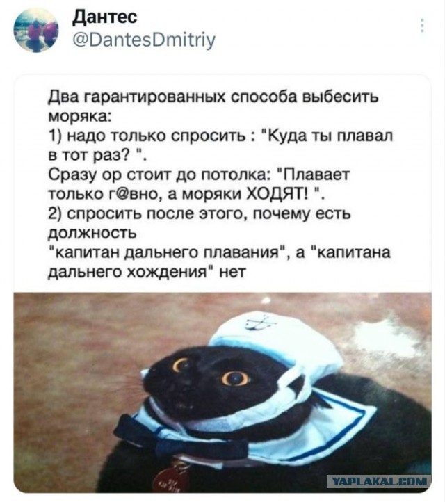 Веселые картинки в маленькую пятницу (12.02)