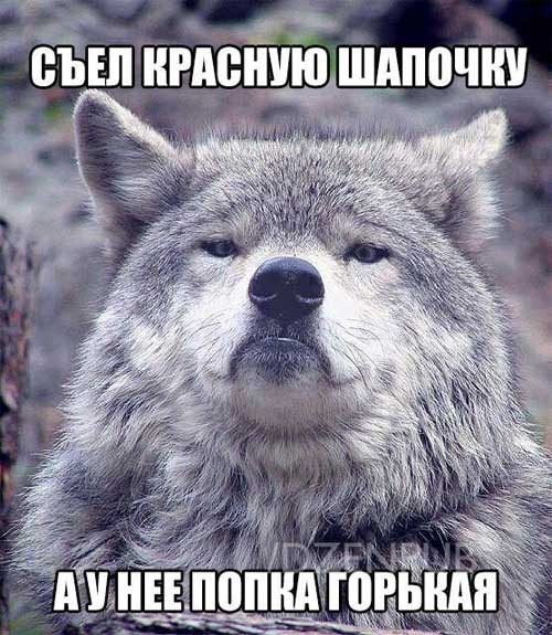 Завалялось тут случайно немного забавных картинок