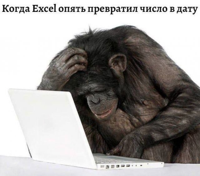 Всех программистов!