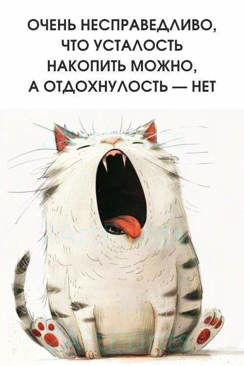 Четверговые разности в картинках