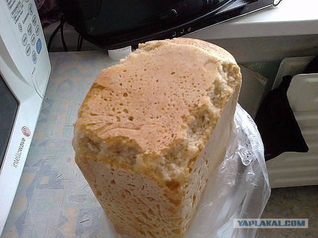 ЯП позновательный