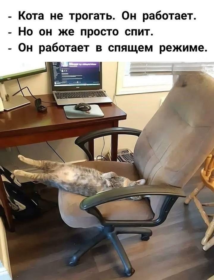 20761043.jpg