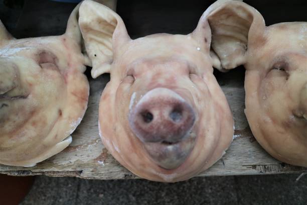 Не для чувствительных барышень