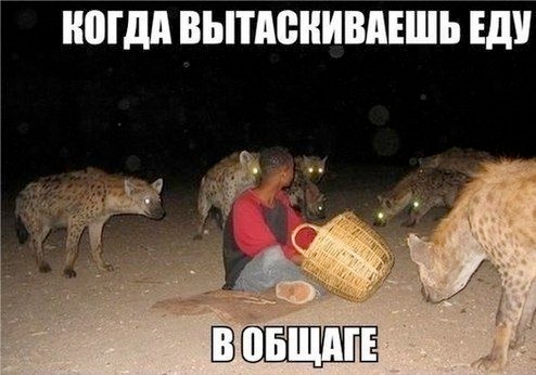 Картинки для деградации 160 (разной степени свежести)