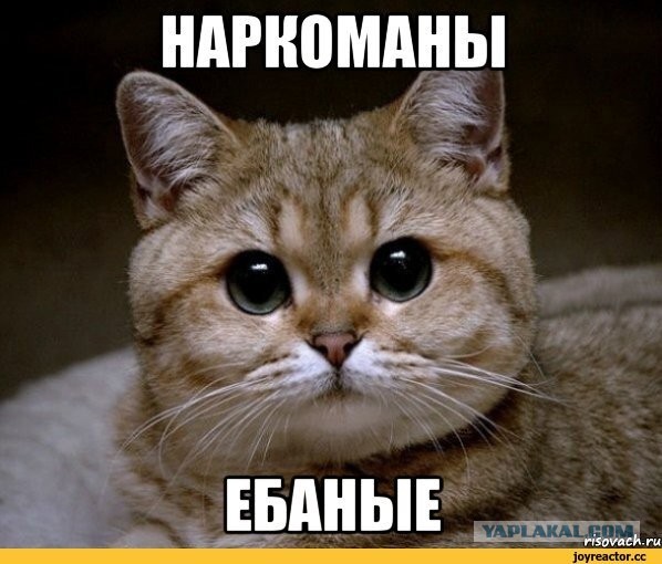 Лютая дичь.