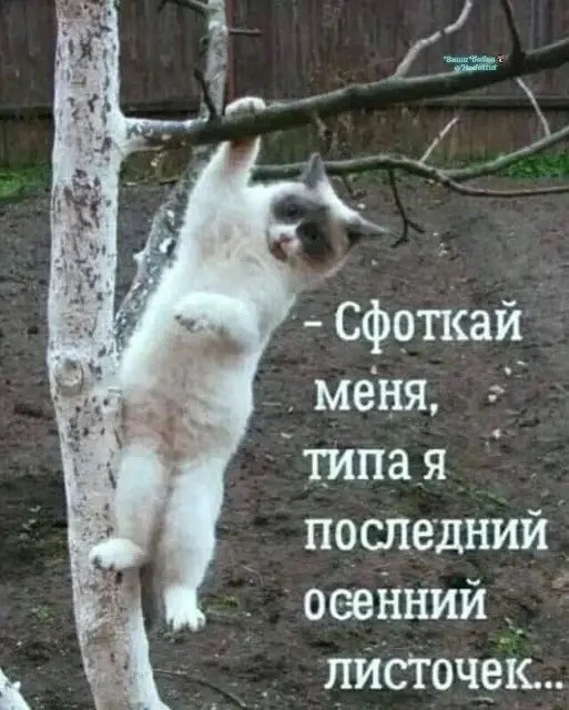 Конец тепла близок - СоПогИ*
