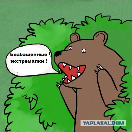 Предел мечтаний безбашенных экстремалок