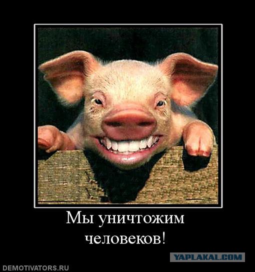 Фото из будущего