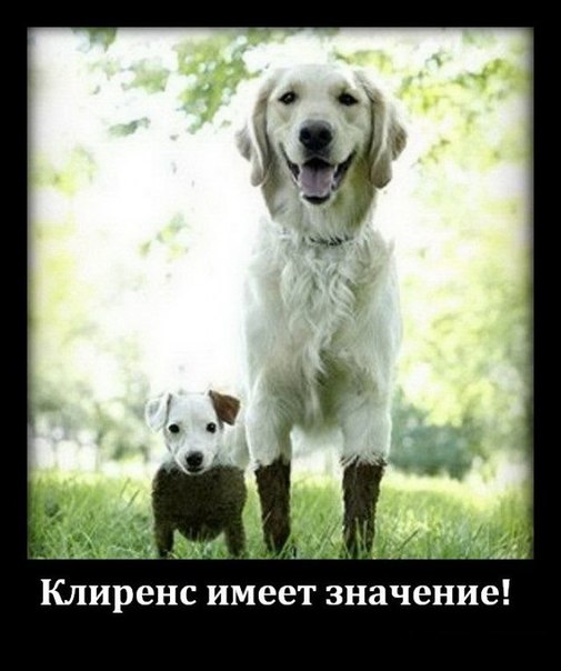 Танки тоже могут застревать!