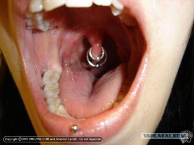 Перлы из сетей