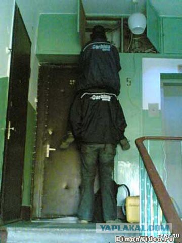 IT приколы