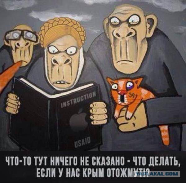 Заседание ООН по ситуации на Украине