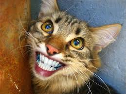 Лента анекдотов на пятницу 13.06.2014