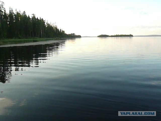 Две недели на Иовском водохранилище. Соколозеро.