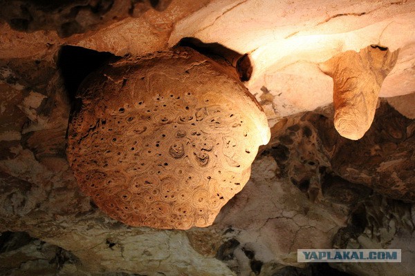 Дорога из Киева и из Москвы в Ялту.
