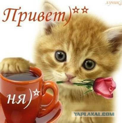 Чёрт, чёрт, чёрт!