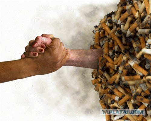 Вы и так не красавицы