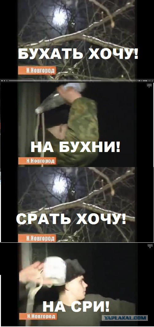 Свежие картинки из сети