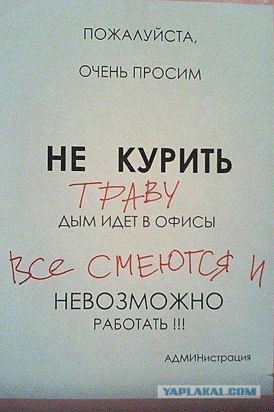 В нашем доме поселился замечательный сосед...
