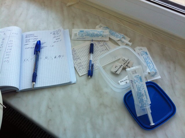 Одни сутки папы