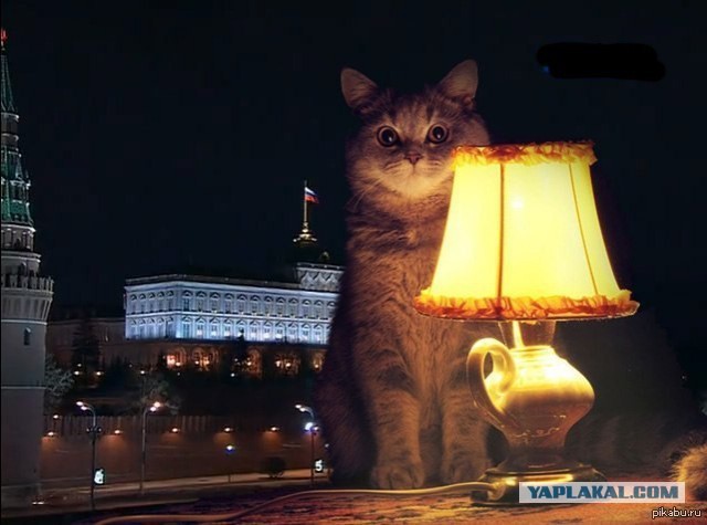 Россияне довольны своей жизнью