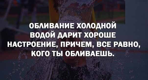 Картинки из сети