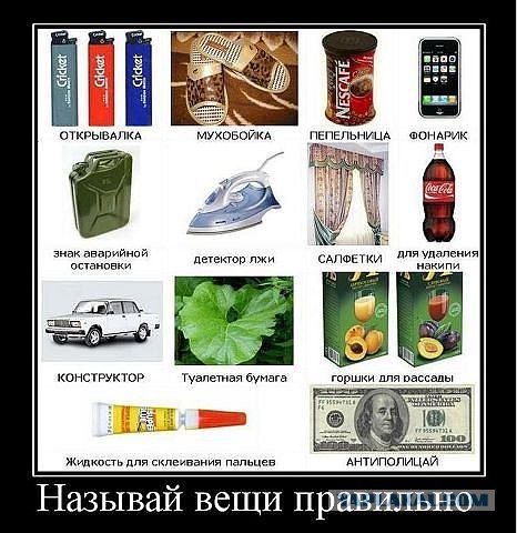 Картинки из сети