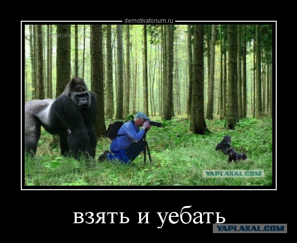 Сборник "баянов" со всего Интернета - 2