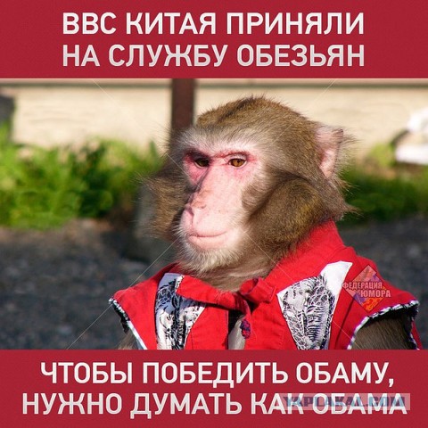 Картинки из интернета