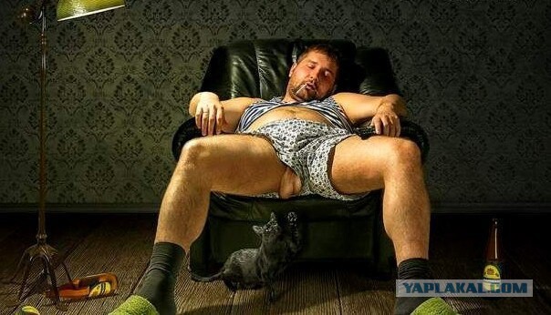 Как объяснить коту?....