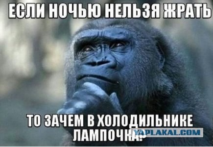 Завтрак – отдай врагу, вечером – нормально поешь!