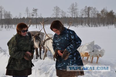 Дорога через самое большое болото в мире