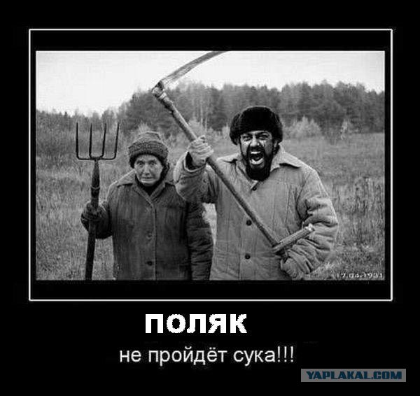 Поляки готовятся к войне.