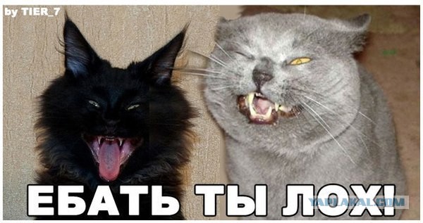 ...бать ты лох!