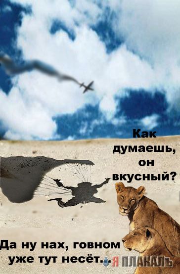 Фотожаба: грозный лев