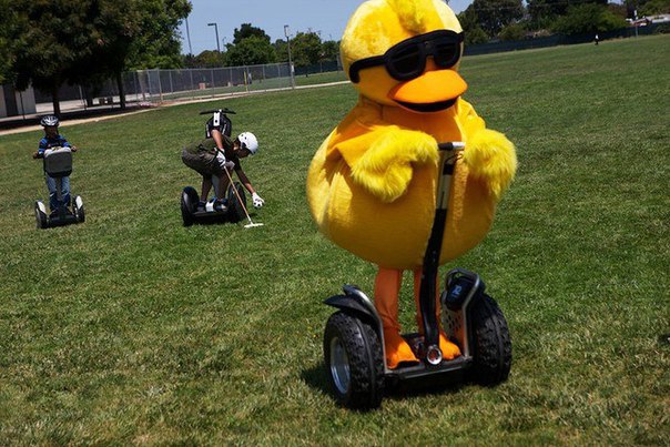 Веселые и интересные картинки