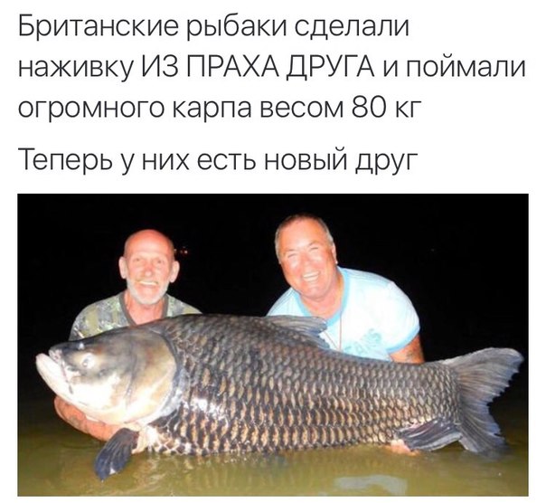 Подборка интересных и веселых картинок