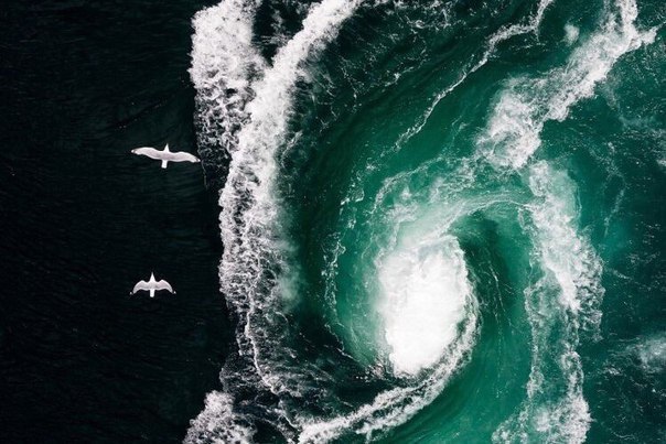 Интересные и веселые картинки