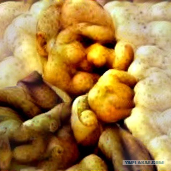 Нейронная сеть объединяет два изображения в одно