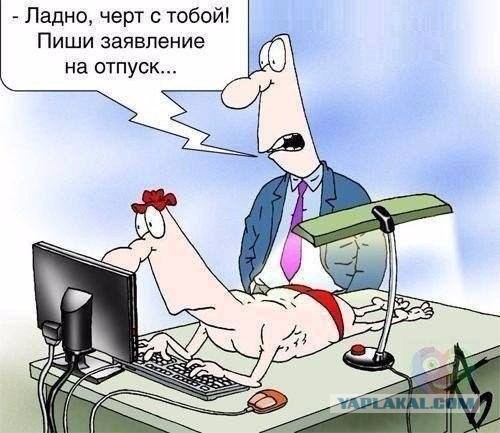 Картинки из сети