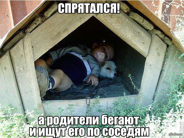 Подборка интересных и веселых фото