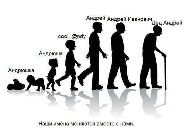 Немного картинок и гифок.