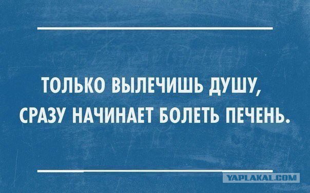 Смешные комментарии из социальных сетей 12.08.2016