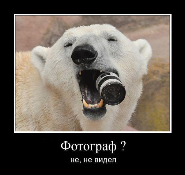 Для Поднятия Настроения - 13