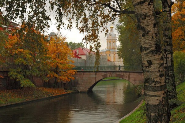 Картинки для отдыха глаз