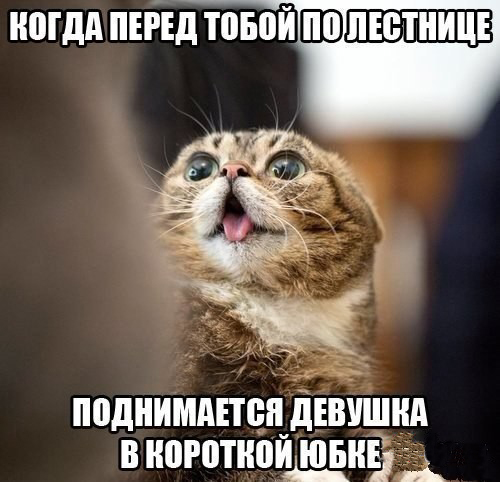 http://s00.yaplakal.com/pics/pics_original/3/4/0/8683043.jpg